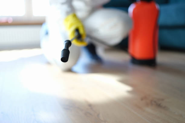 Forensic Mold Investigation in Brevard, NC